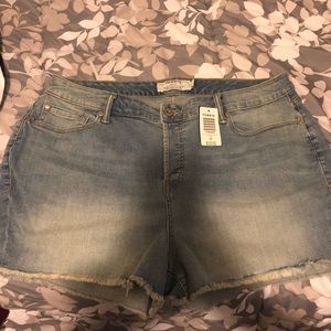 Torrid Denim Shorts new with tags!
